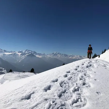 公寓 Iris - Ferien Mit Alpenchic-ambiente 贝特默阿尔卑