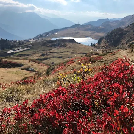 Iris - Ferien Mit Alpenchic-ambiente