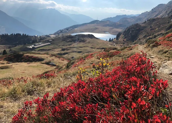 Iris - Ferien Mit Alpenchic-ambiente