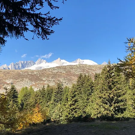 Iris - Ferien Mit Alpenchic-ambiente *