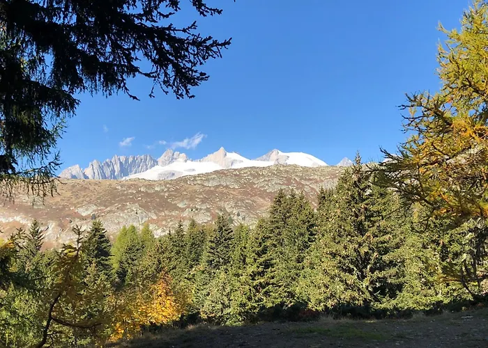 Iris - Ferien Mit Alpenchic-ambiente *