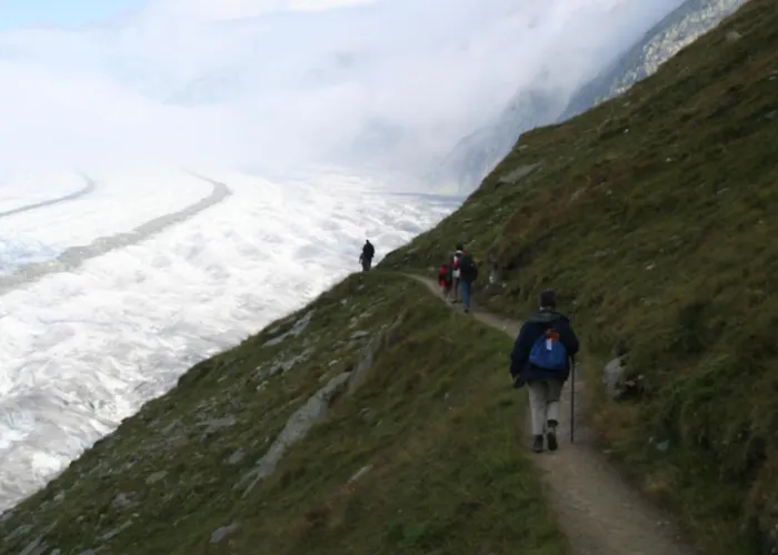 Iris - Ferien Mit Alpenchic-ambiente Διαμέρισμα Bettmeralp
